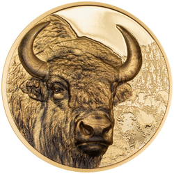 Mongolia: Bison 1 uncja Złota 2025 Proof 