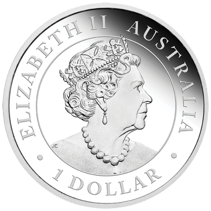 Australijski Emu 1 uncja Srebra 2020 Proof