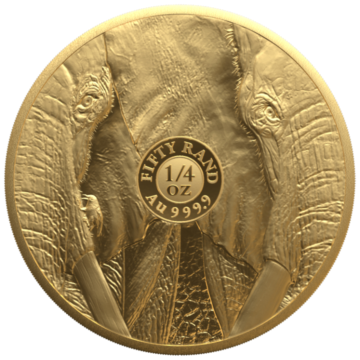 Big Five III: Elephant 1/4 uncji Złota 2024 Proof