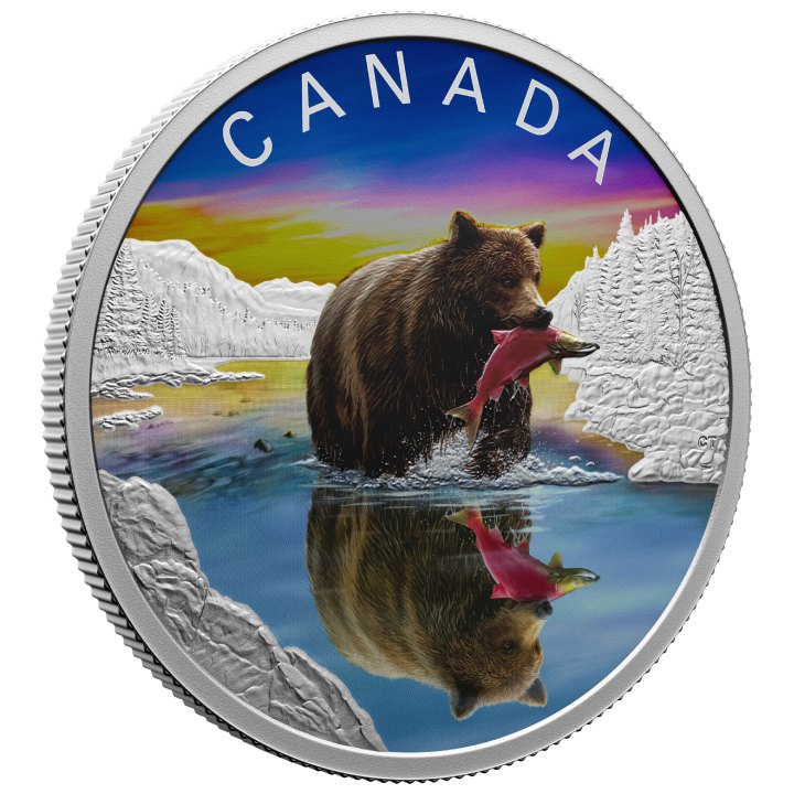 Canada: Wildlife Reflections - Grizzly Bear kolorowany $20 Srebro 2024 Proof 