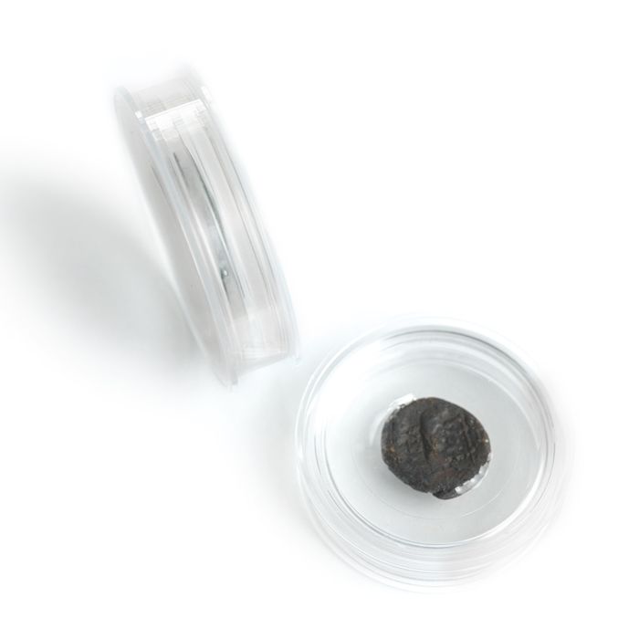 Leuchtturm - Plastikowy kapsel Magic Capsules L (6 sztuk)