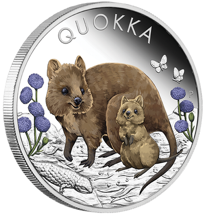 Quokka kolorowana 1 uncja Srebra 2022 Proof