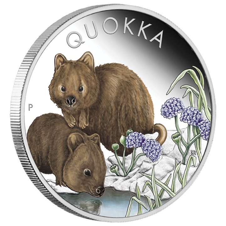 Quokka kolorowana 1 uncja Srebra 2023 Proof