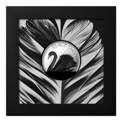  Cook Islands: Black Swan 2 uncje Srebra 2023 Black Proof Ultra High Relief 