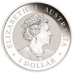 Australijski Emu 1 uncja Srebra 2019 Error