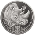 Big Five II: Rhino 1 uncja Platyny 2022 Proof 