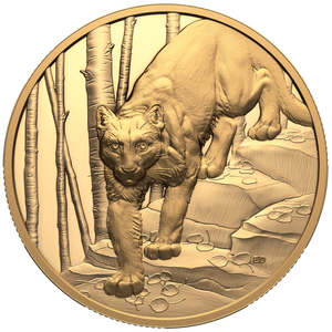 Canada: Great Hunters - Cougar $200 Złoto 2024 Proof Ultra High Relief Coin