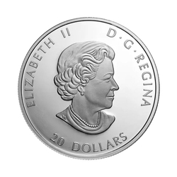 Canada: Remembrance Day kolorowany 1 uncja Srebra 2022 Proof