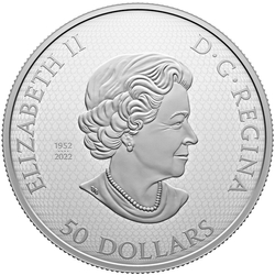 Canada: The Monarch and the Bloom kolorowany, pozłacany $50 Srebro 2023 Proof 