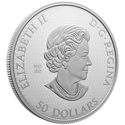 Canada: The Monarch and the Bloom kolorowany, pozłacany $50 Srebro 2023 Proof 