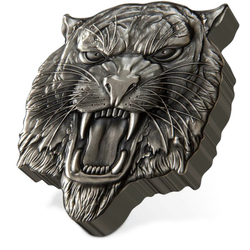 Niue: Fierce Nature -Tiger 2 uncje Srebra 2022 Antique Finish