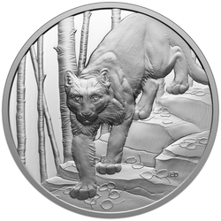 Canada: Great Hunters - Cougar $20 Srebro 2024 Proof Ultra High Relief Coin