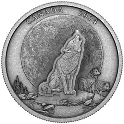 Canada: The Howling Wolf $30 Srebro 2024 Antiqued Coin