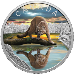 Canadá: Wildlife Reflections - Puma colorado $20 Plata 2024 Proof