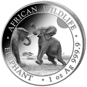 Fauna africana: Elefante somalí 1 oz Plata 2024