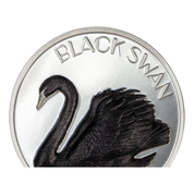 Islas Cook: Cisne Negro 2 oz Plata 2023 Negro Proof Ultra Alto Relieve