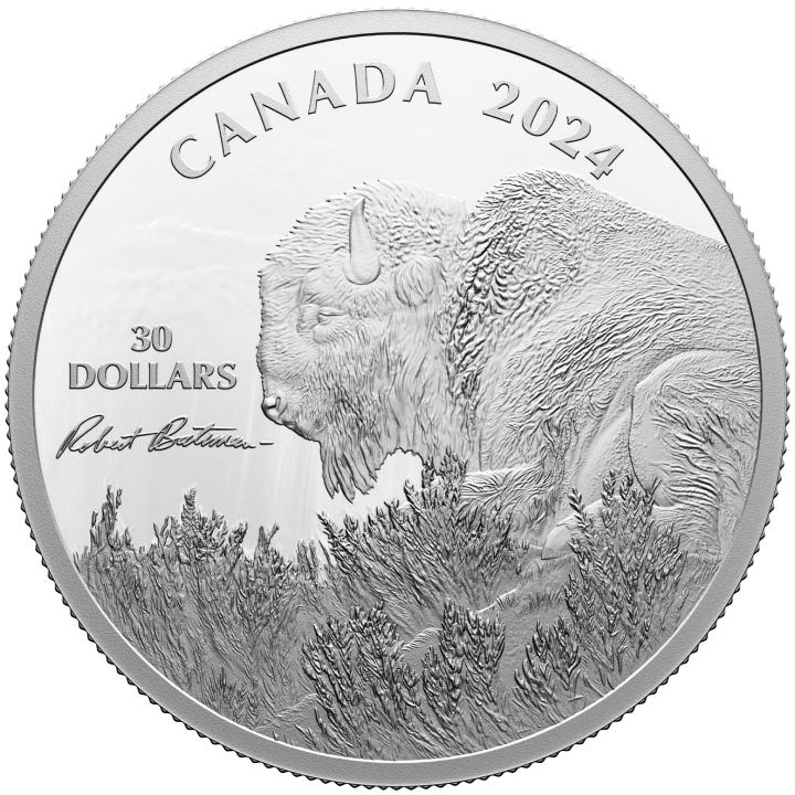 Canadá: Vigilancia meteorológica - Bisonte $30 Plata 2024 Proof