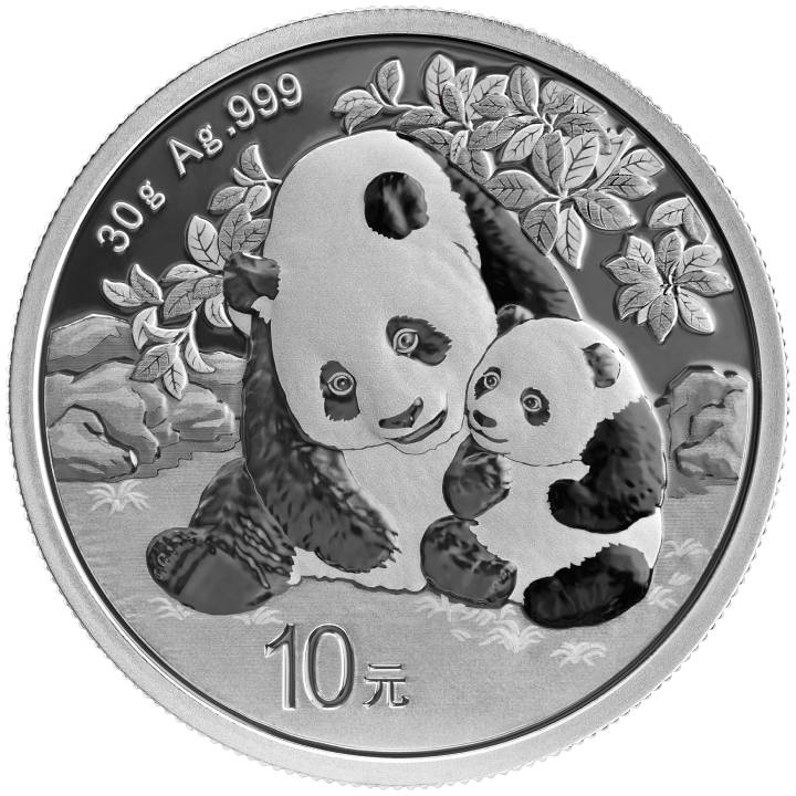 Panda chino 30 gramos Plata 2024