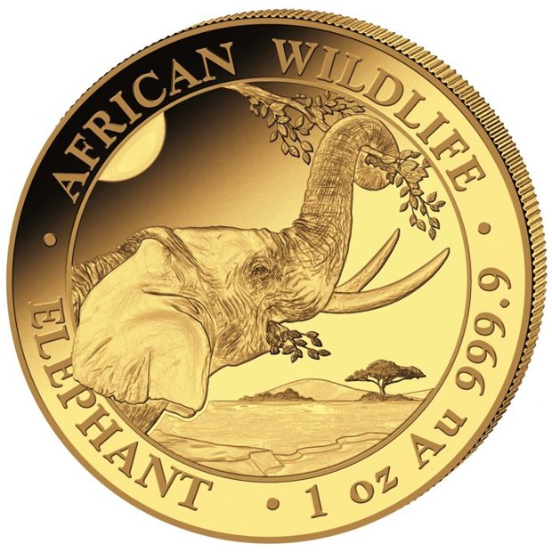 Vida salvaje africana: Elefante somalí 1 oz Oro 2023